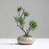 Minimalist artificial pine tree in brown ceramic vase styled on a side table for modern home decor