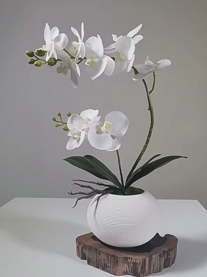 Faux Phalaenopsis Orchid Arrangement in Black Ceramic Vase - 15.7"