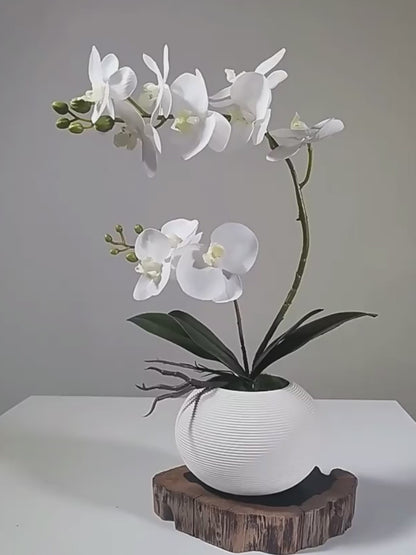 Faux Phalaenopsis Orchid Flower Arrangement - 15.7&