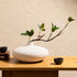 Fake ficus plant in white ceramic vase designed for modern minimalist home decor