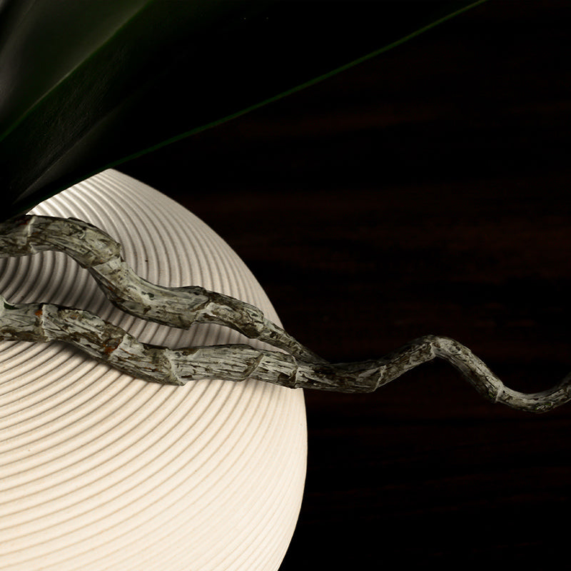 Minimalist white ceramic vase with smooth finish, designed to complement elegant orchid floral arrangements.