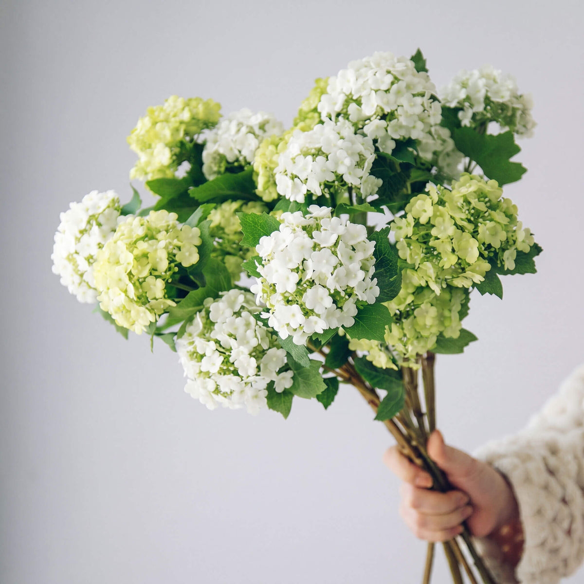 Real Touch Artificial Hydrangea Stem - Full Bloom Floral Branch for Vase Styling - 26"